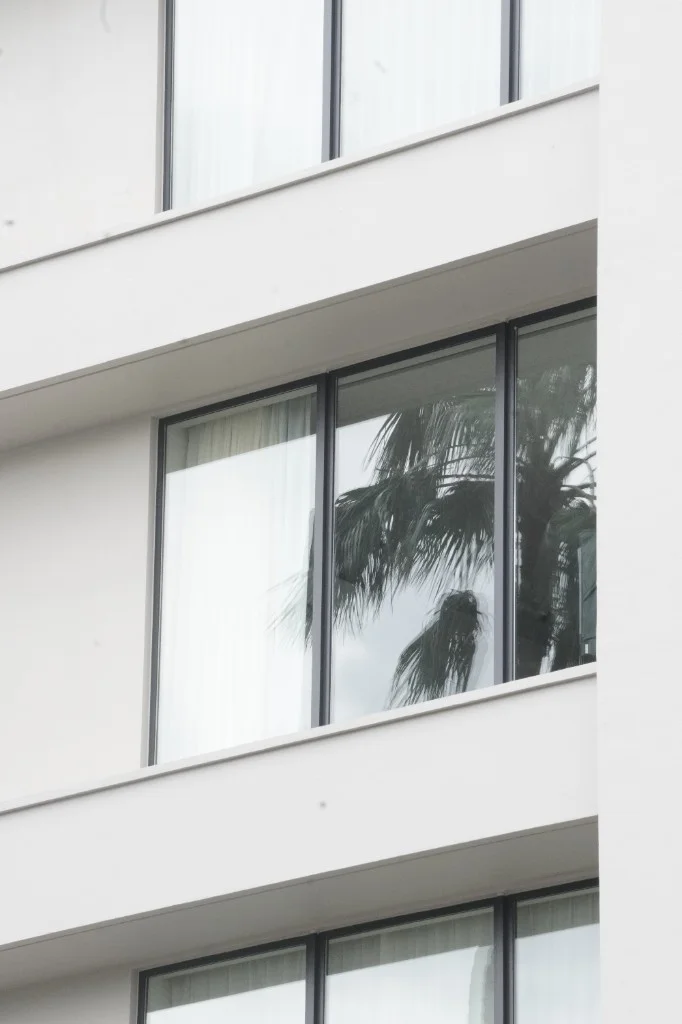 Miyazaki Street — palm tree reflected in a white building window